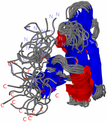 Image NMR Structure - all models