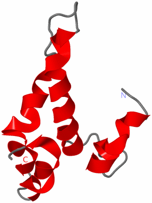 Image NMR Structure - model 1