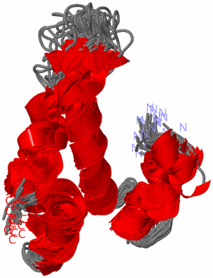 Image NMR Structure - all models