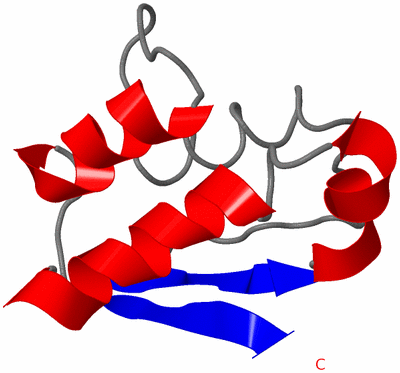 Image NMR Structure - model 1