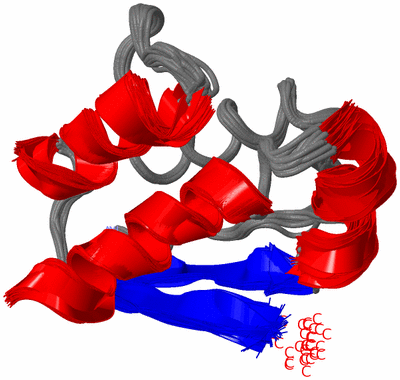 Image NMR Structure - all models