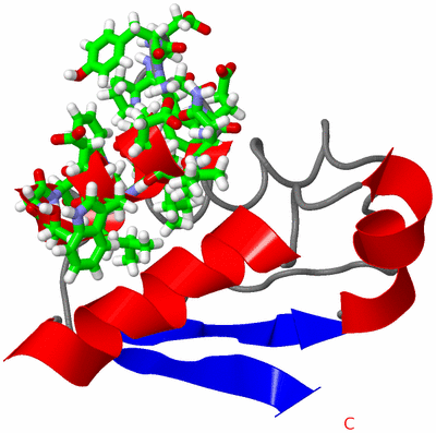 Image NMR Structure - model 1, sites