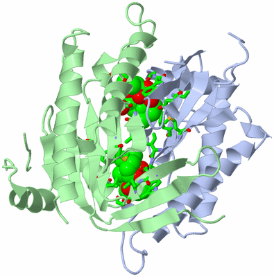 Image Biol. Unit 1 - sites