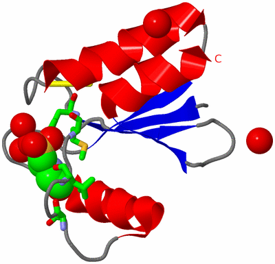 Image Asym./Biol. Unit - sites