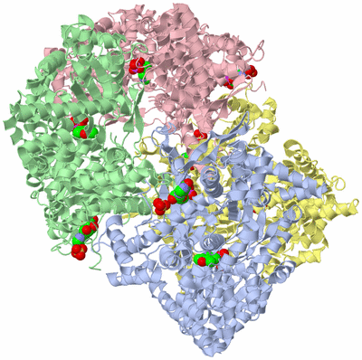 Image Asym./Biol. Unit