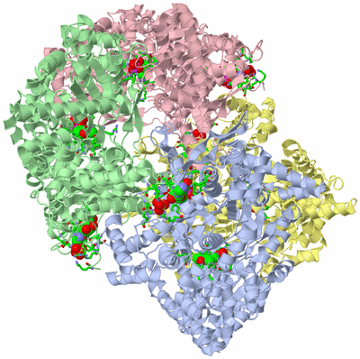 Image Asym./Biol. Unit - sites