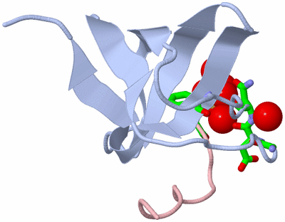 Image Biol. Unit 1 - sites