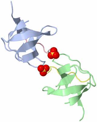 Image Biological Unit 3