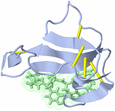 Image NMR Structure - model 1