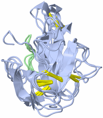 Image NMR Structure - all models