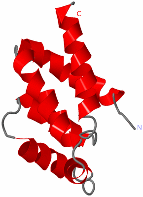 Image NMR Structure - model 1