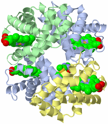 Image Asym./Biol. Unit