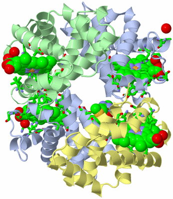 Image Asym./Biol. Unit - sites