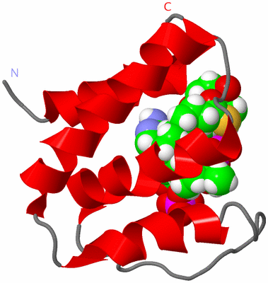 Image NMR Structure - model 1