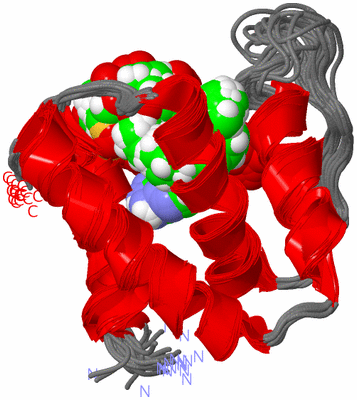 Image NMR Structure - all models