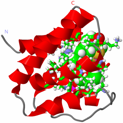 Image NMR Structure - model 1, sites