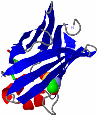 Image Asym. Unit - sites