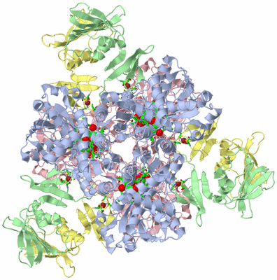 Image Biol. Unit 1 - sites