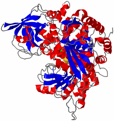 Image Asym./Biol. Unit