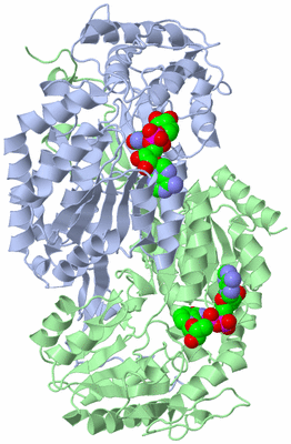 Image Asym./Biol. Unit