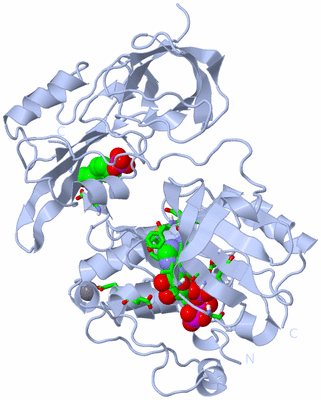 Image Biol. Unit 1 - sites