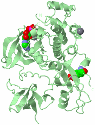 Image Biological Unit 2