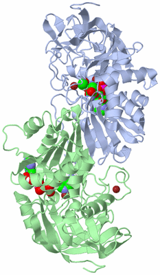 Image Asym./Biol. Unit