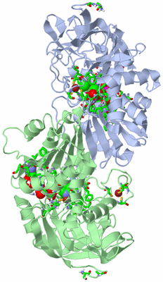 Image Asym./Biol. Unit - sites