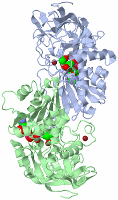 Image Asym./Biol. Unit