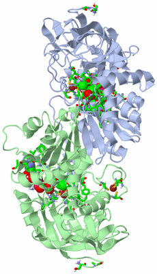 Image Asym./Biol. Unit - sites