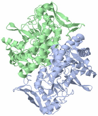 Image Asym./Biol. Unit