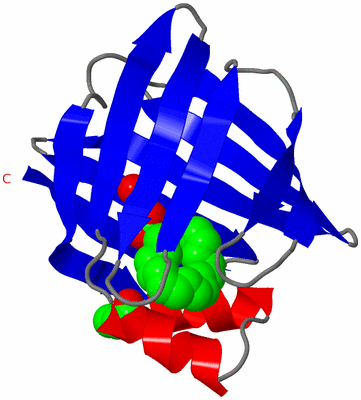 Image Asymmetric Unit
