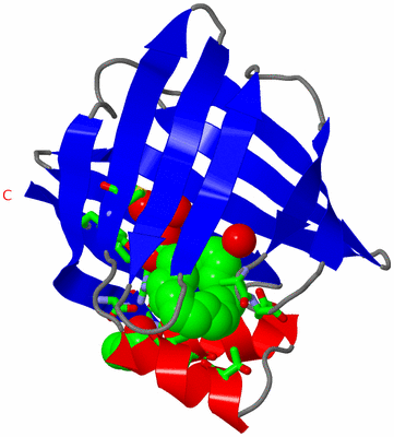 Image Asym. Unit - sites