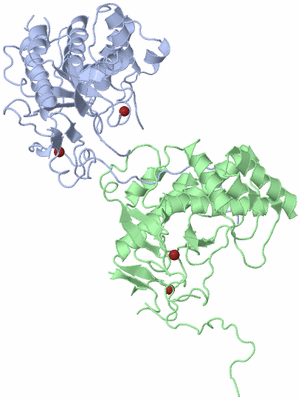Image Asym./Biol. Unit