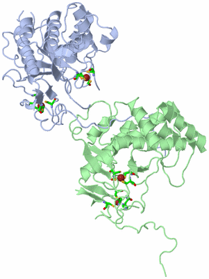 Image Asym./Biol. Unit - sites