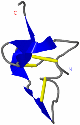 Image NMR Structure - model 1