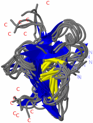 Image NMR Structure - all models