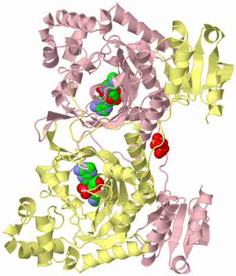 Image Biological Unit 2