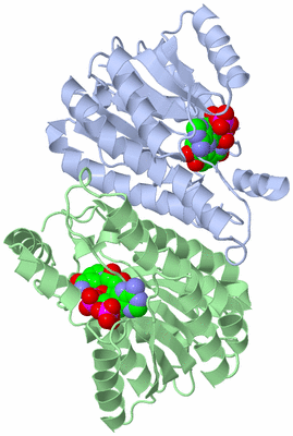 Image Biological Unit 1