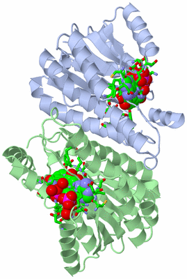 Image Biol. Unit 1 - sites