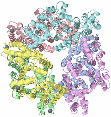 Image Asym./Biol. Unit