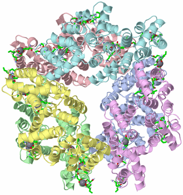 Image Asym./Biol. Unit - sites