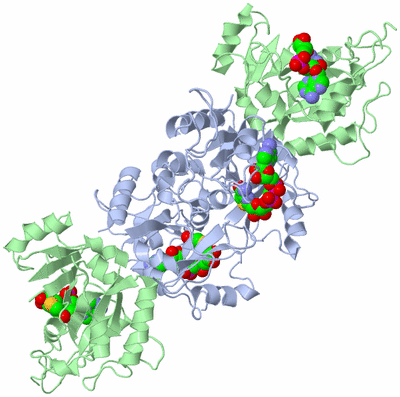 Image Biological Unit 1