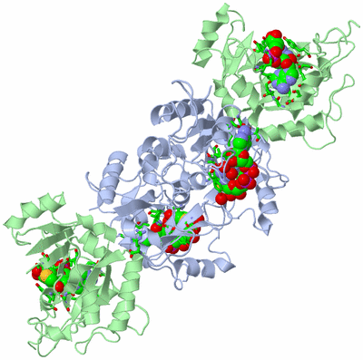 Image Biol. Unit 1 - sites