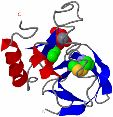 Image Asym./Biol. Unit