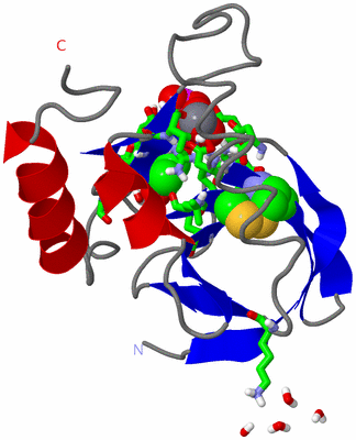 Image Asym./Biol. Unit - sites