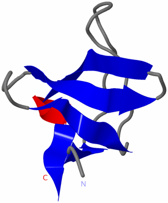 Image NMR Structure - model 1