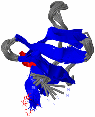 Image NMR Structure - all models