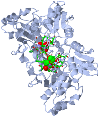 Image Biol. Unit 1 - sites