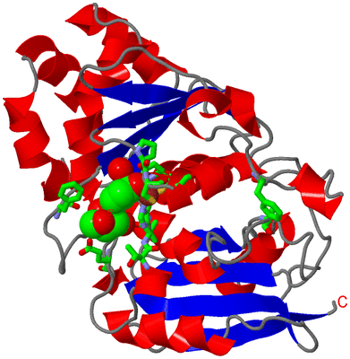 Image Asym. Unit - sites